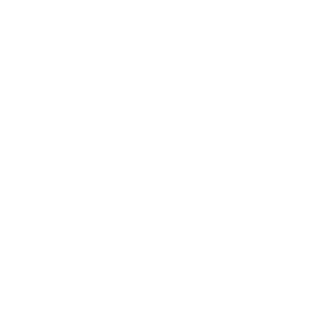 Pictogramme Skillset Organisme de formation professionnelle accessibilité handicap